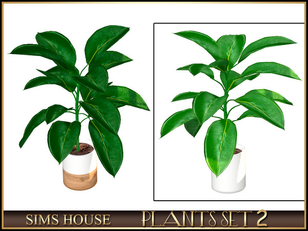 Sims 4 — SMALL FICUS by Sims_House — PLANTS SET 2