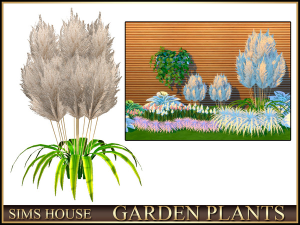Sims 4 — Sims House Pampas Grass | GARDEN PLANTS by Sims_House — GARDEN PLANTS