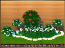 Sims 4 — GARDEN PLANTS 2 by Sims_House — GARDEN PLANTS 2