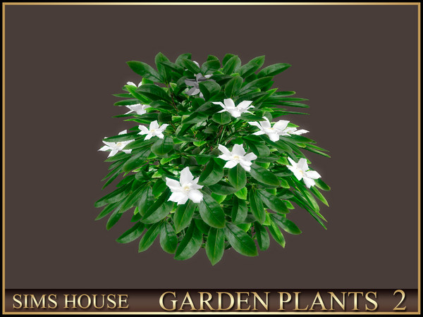 Sims 4 — Sims House GARDENIA BUSH | GARDEN PLANTS 2 by Sims_House — GARDEN PLANTS 2