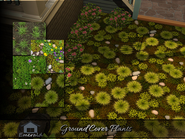 Sims 4 — Ground Cover Plants by Emerald — Ground cover plants are low maintenance,spreading plants that prevent erosion,