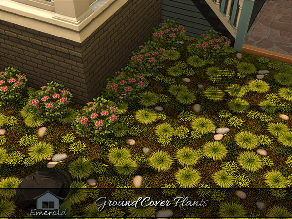 Sims 4 — Ground Cover Plants 1 by Emerald — Ground cover plants are low maintenance,spreading plants that prevent