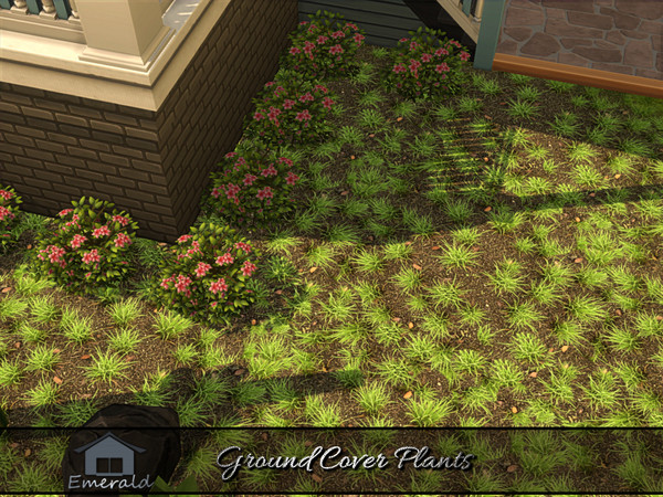 Sims 4 — Ground Cover Plants 2 by Emerald — Ground cover plants are low maintenance,spreading plants that prevent