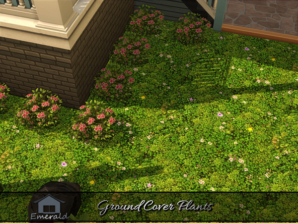 Sims 4 — Ground Cover Plants 3 by Emerald — Ground cover plants are low maintenance,spreading plants that prevent