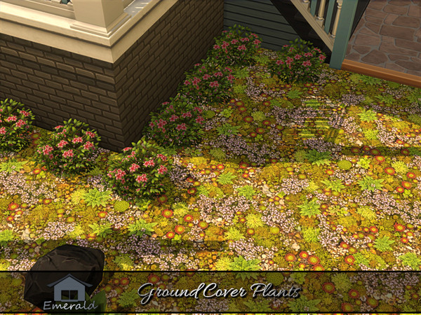Sims 4 — Ground Cover Plants 4 by Emerald — Ground cover plants are low maintenance,spreading plants that prevent
