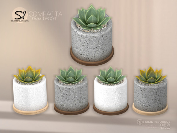 Sims 4 — Compacta Plant Suculenta by SIMcredible! — - Casserole Pot