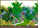 Sims 4 — TROPICAL PLANTS by Sims_House — TROPICAL PLANTS