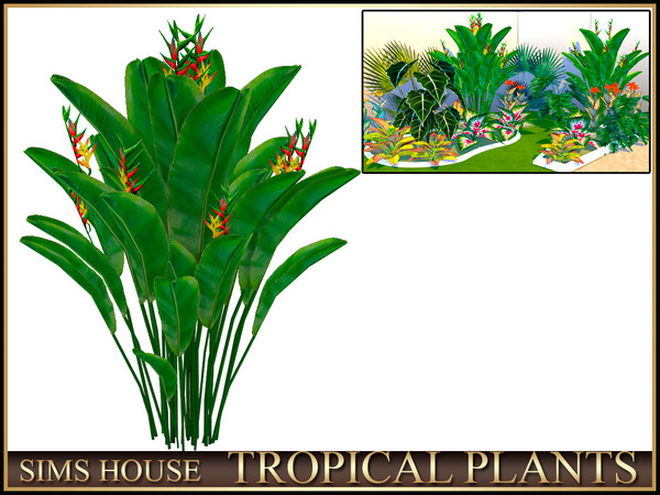 Sims 4 — Sims House HELICONIA | TROPICAL PLANTS by Sims_House — TROPICAL PLANTS