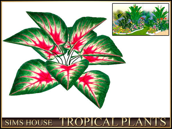 Sims 4 — Sims House CALADIUM | TROPICAL PLANTS by Sims_House — TROPICAL PLANTS