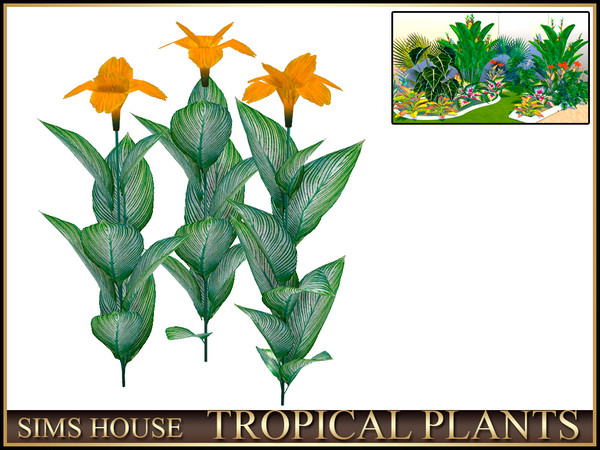 Sims 4 — Sims House CANNA TROPICANNA | TROPICAL PLANTS by Sims_House — TROPICAL PLANTS