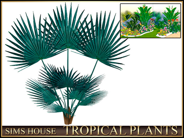 Sims 4 — Sims House FAN PALM | TROPICAL PLANTS by Sims_House — TROPICAL PLANTS