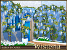 Sims 4 — Wisteria by Sims_House — Wisteria