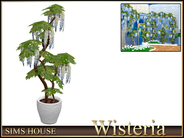 Sims 4 — Sims House Wisteria in a Pot | Wisteria by Sims_House — Wisteria