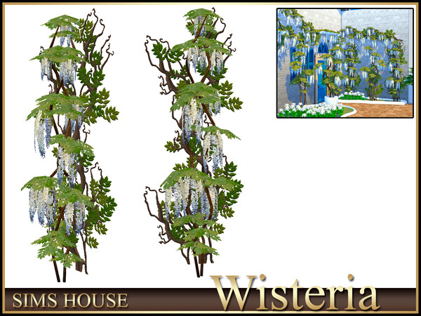 Sims 4 — Sims House Wisteria Climber | Wisteria by Sims_House — Wisteria
