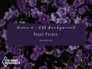 Sims 4 — Royal Purple CAS Background by XChloe98 — This collection is called [The Classics] royal and classic CAS