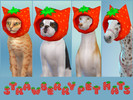 Sims 4 — Strawberry Pet Hats by Lala_Sara — Strawberry hats for all pets: cats, dogs and horses.