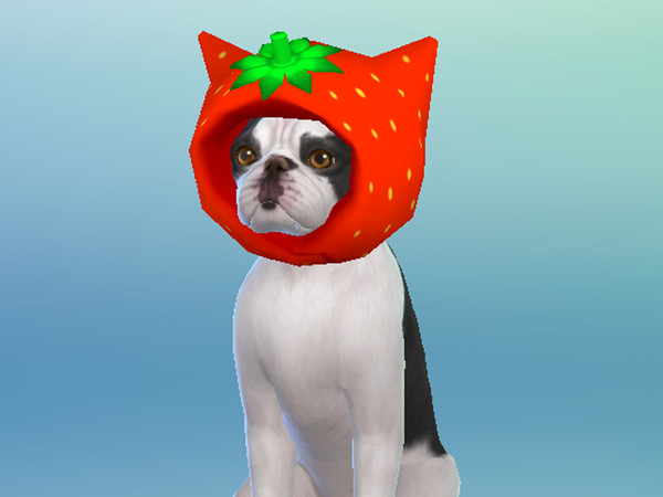 Sims 4 — strawberryhathorse by Lala_Sara — Strawberry hats for all pets: cats, dogs and horses.