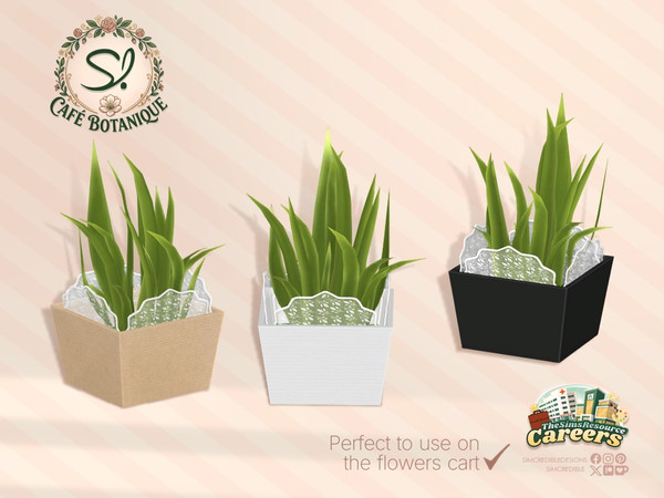 Sims 4 — Cafe Botanique Plant Paper Box by SIMcredible! — This is the second part of our Cafe Botanique series. We're