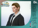 Sims 4 — Slick Back Hair - Careers Collection by Daisy-Sims — 21 base colors + 9 ombre colors