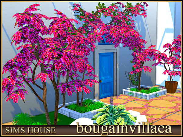Sims 4 — Bougainvillea by Sims_House — Bougainvillea