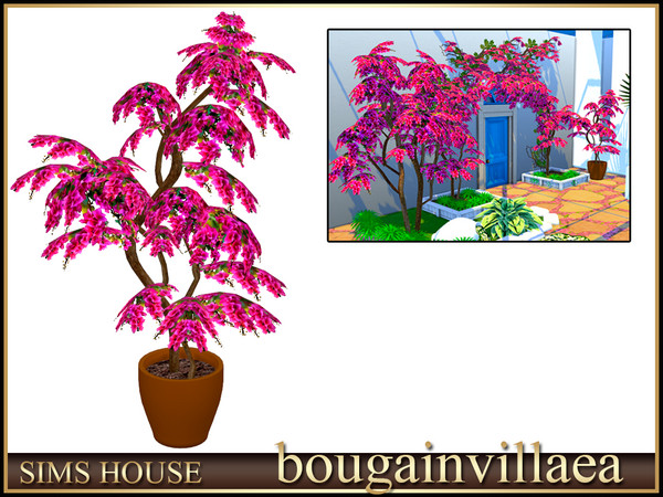 Sims 4 — Sims House Potted bougainvillea | Bougainvillea by Sims_House — Bougainvillea