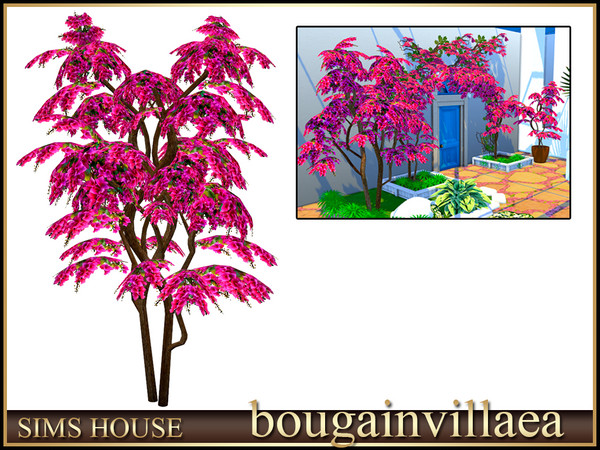 Sims 4 — Sims House Bougainvillea tree | Bougainvillea by Sims_House — Bougainvillea