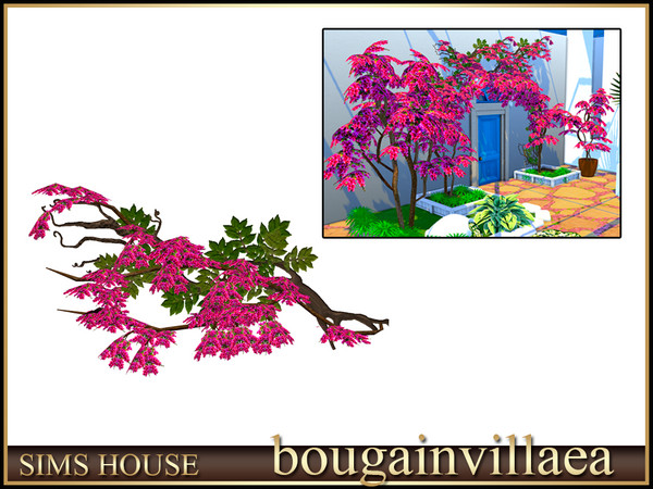 Sims 4 — Sims House Bougainvillea branch to the left | Bougainvillea by Sims_House — Bougainvillea