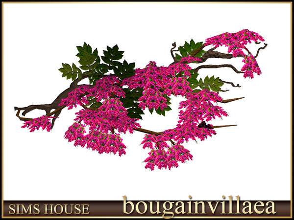 Sims 4 — Sims House Bougainvillea branch to the right | Bougainvillea by Sims_House — Bougainvillea