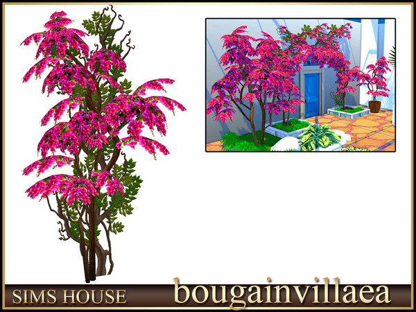 Sims 4 — Sims House Bougainvillea bush to the left | Bougainvillea by Sims_House — Bougainvillea