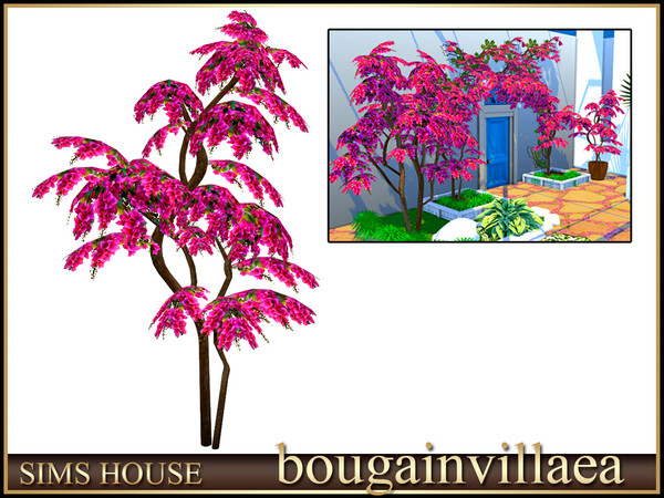 Sims 4 — Sims House Bougainvillea bush to the right | Bougainvillea by Sims_House — Bougainvillea