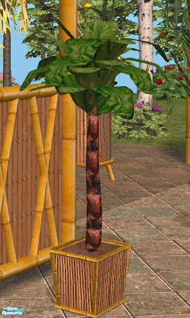 Sims 2 — Tropical Patio Retreat - Tree Planter by Simaddict99 — NOTE: this is a slave file and requires the matching