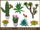 Sims 4 — SUCCULENTS by Sims_House — SUCCULENTS