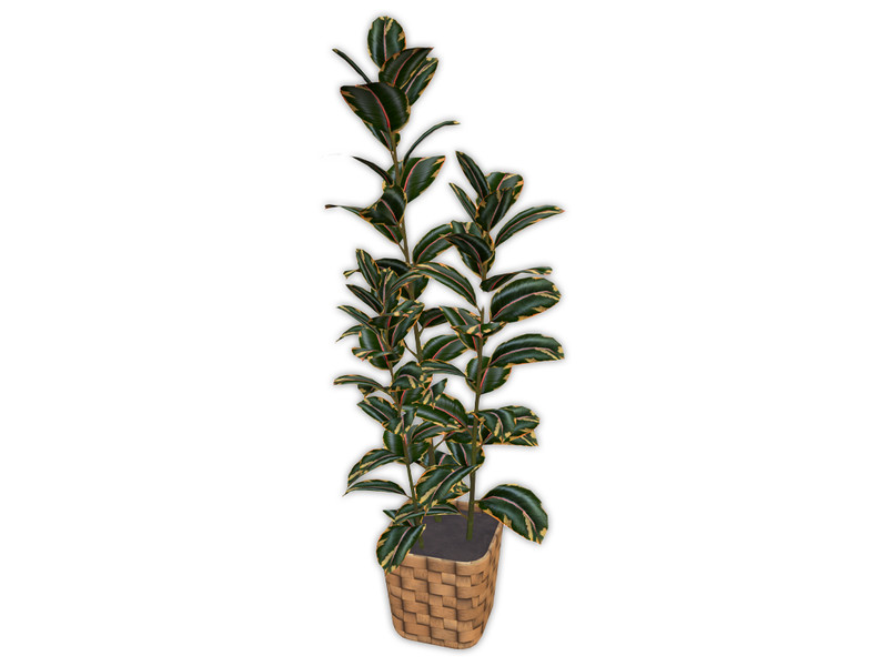 Sims 4 ranch and western custom content CC Comiko Living Modern Farm Plant Ficus | Living Room by Comiko