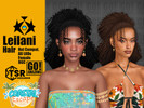 Sims 4 — Leilani Hair by GoAmazons — Half updo curly hairstyle with strands for sunny holidays!