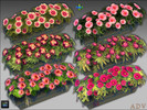Sims 4 — ADV-Mabra THREE s4PlantPotWallSet by MABRA2 — A set with grey plant pots