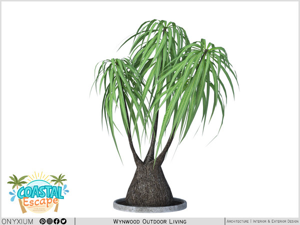 Sims 4 — Wynwood Big Plant by Onyxium — Onyxium@TSR Design Workshop Outdoor & Garden Collection - Belong To The 2026