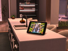 Sims 4 — Modern Digital Picture Frame by Danhoil — A Modern Digital Picture Frame that has a slideshow of 20 images.