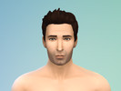 Sims 4 — Ross Geller - FRIENDS by Darivalle — Ross Geller inspired by the TV series FRIENDS. Created to match my FRIENDS: