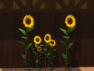 Sims 4 — Sunflower Bunch Recolor by Surfkitten — Base game sunflower group recolored and retextured. I also created a
