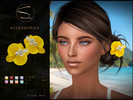 Sims 4 — S-CLUB FLOWERS ACCESSORIES by S-Club — FLOWERS ACCESSORIES with 8 colors, 090826, thank you.