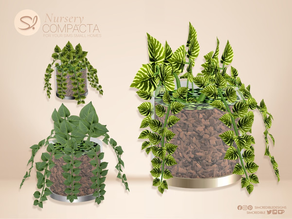 Sims 4 — Compacta Nursery Small Plant by SIMcredible! — A beautiful, unexpected surprise has brought a little more love