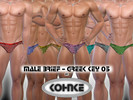 Sims 4 — Kohnke Male Brief Greek Key 5 by CHKohnke — Male Brief - 8 colours