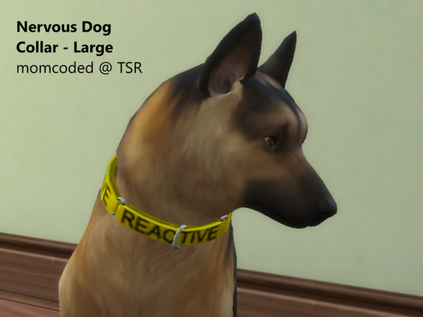 Sims 4 — momcoded nervous dog collar large by momcoded — Bright, woven pet collar