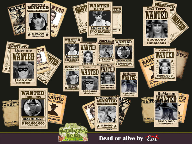 Sims 4 wall art CC Dead or alive by evi