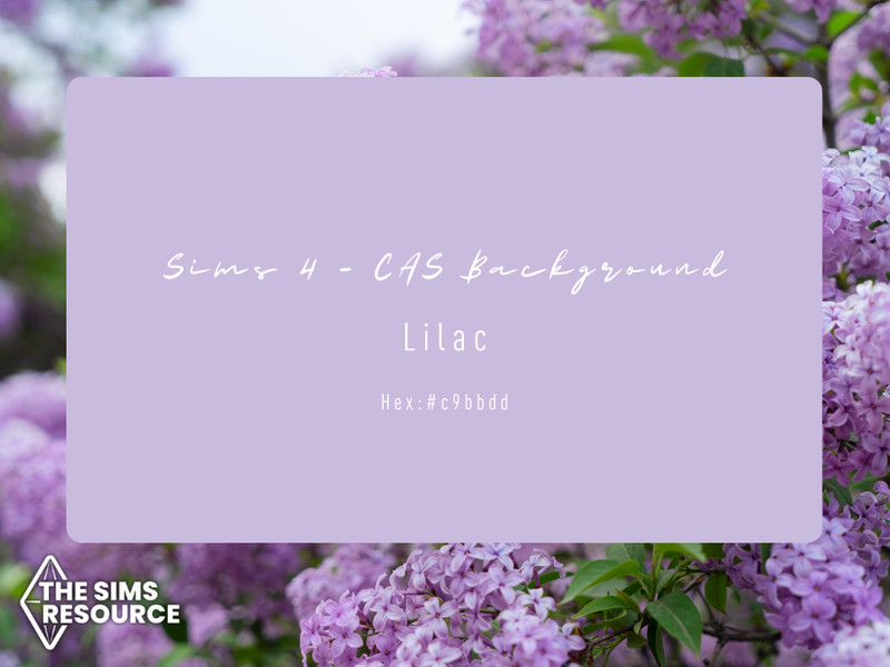 Sims 4 gameplay and utility mod CC Lilac CAS Background by XChloe98