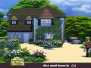 Sims 4 — Alice small house No CC by evi — A two bedroom country house with a big natural area around it.