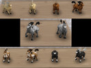 Sims 4 — Pretty Pony Toy by Surfkitten — Base game toy horse recolored in Palomino, Bay, Dappled Gray, Pinto and Black. I