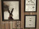 Sims 4 — Sage Frames by septicsxm — a framed photo in three swatches of white, green, and brown. base game compatible!
