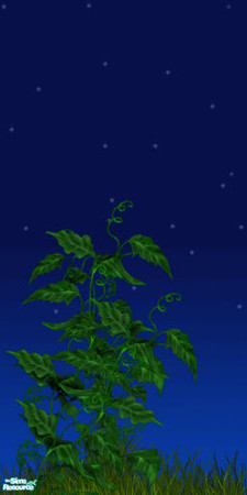 Sims 2 — The enchanted wood - Vine by footzoul — See the complete set, to build your enchanted wood