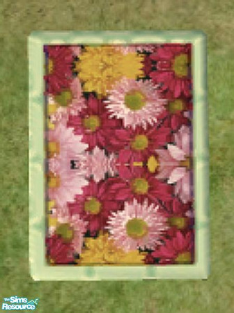 Sims 2 — Picnic Blankets - Recolor F by NewSimSimGirl — Requires Picnic Blankets - Mesh File (319491).
